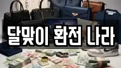 달맞이 환전 나라