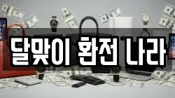 달맞이 환전 나라