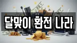 달맞이 환전 나라