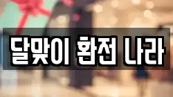 달맞이 환전 나라