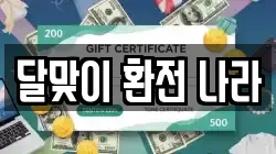 달맞이 환전 나라