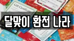달맞이 환전 나라