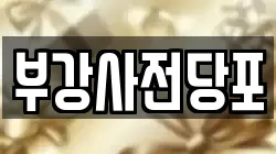 부강사전당포