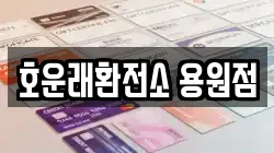 호운래환전소 용원점