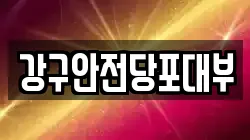 강구안전당포대부
