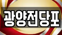 광양전당포