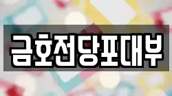 금호전당포대부