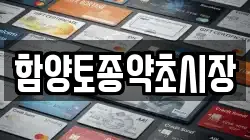 함양토종약초시장