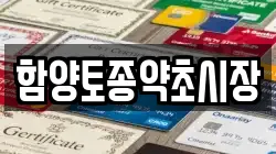 함양토종약초시장