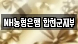 NH농협은행 합천군지부