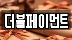더블페이먼트