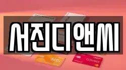 서진디앤씨