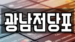 광남전당포
