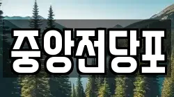 중앙전당포