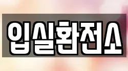 입실환전소