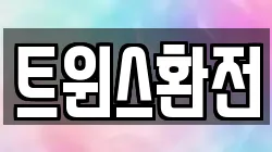 트윈스환전