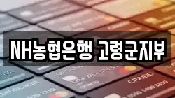 NH농협은행 고령군지부
