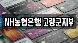 NH농협은행 고령군지부