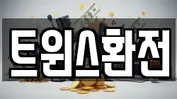 트윈스환전