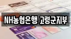 NH농협은행 고령군지부