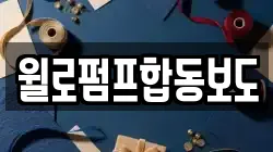 윌로펌프합동보도