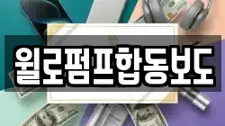 윌로펌프합동보도