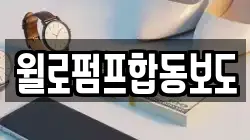 윌로펌프합동보도