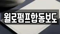윌로펌프합동보도