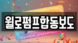 윌로펌프합동보도