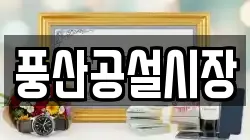 풍산공설시장