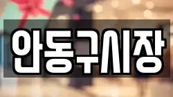 안동구시장