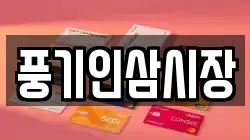 풍기인삼시장