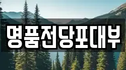 명품전당포대부