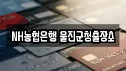 NH농협은행 울진군청출장소