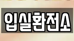입실환전소