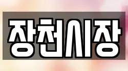 장천시장