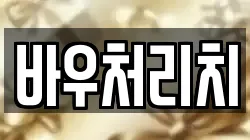 바우처리치