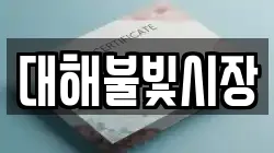 대해불빛시장