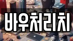 바우처리치