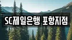 SC제일은행 포항지점