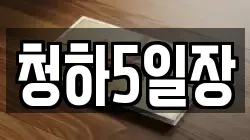 청하5일장