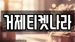 거제티켓나라