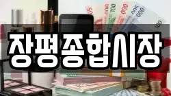 장평종합시장