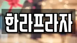 한라프라자