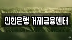신한은행 거제금융센터
