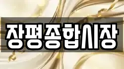 장평종합시장