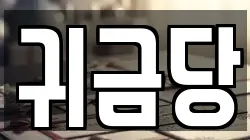 경상남도 거제시 장평동 전당포, 상품권판매, 상품권매매, 환전
