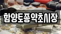 함양토종약초시장
