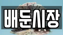 배둔시장