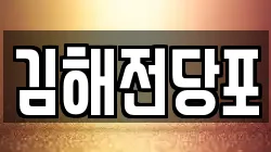 김해전당포